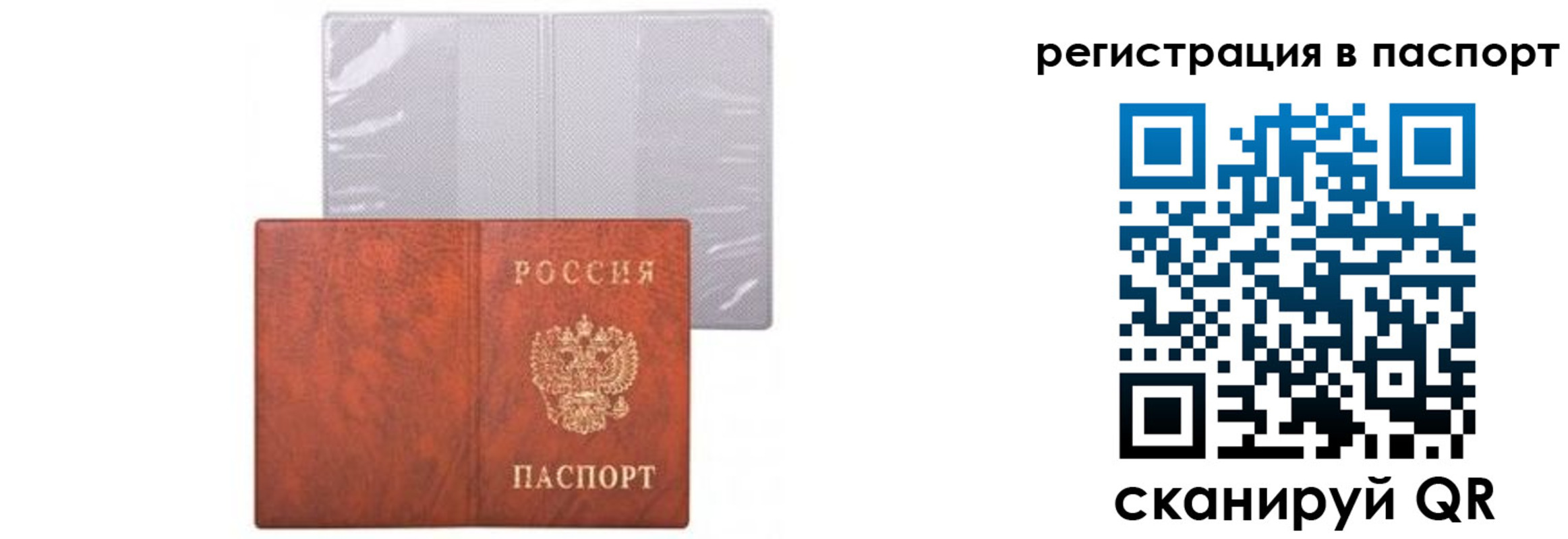 прописка ребенка в Ясном